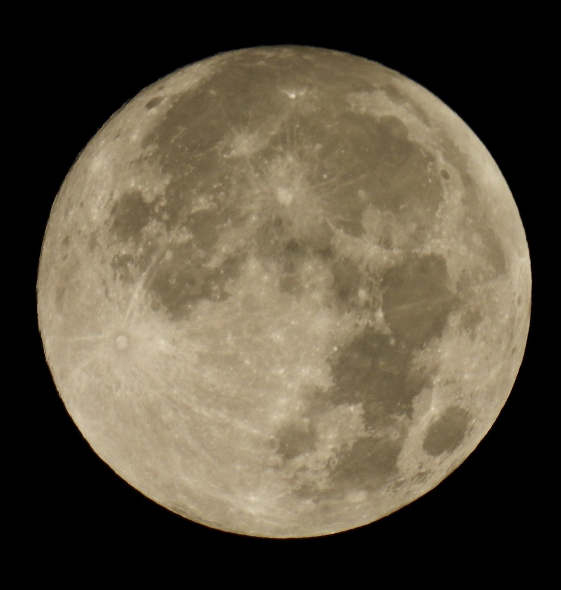 This morning's Moon, almost full
99.9% illuminated, 0519:38  17 October BST
Nikon Coolpix P950, ISO 110, ƒ/6.5, 1/500s
Super Full Moon will be at 1226 today