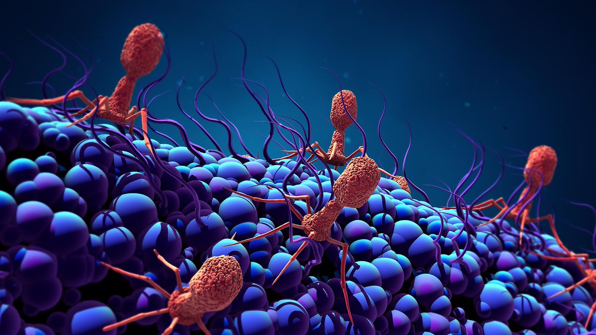 agendasetting1's tweet photo. 🦷🪥🦠¿Sabías que cientos de #virus viven en nuestros #cepillos de #dientes? Pero no te preocupes, que en realidad no es tan mala noticia.- #salud #bucal #diente #boca 

Más info aquí👇👇

https://t.co/WLk9BMk1AU https://t.co/ylDCYChOSq