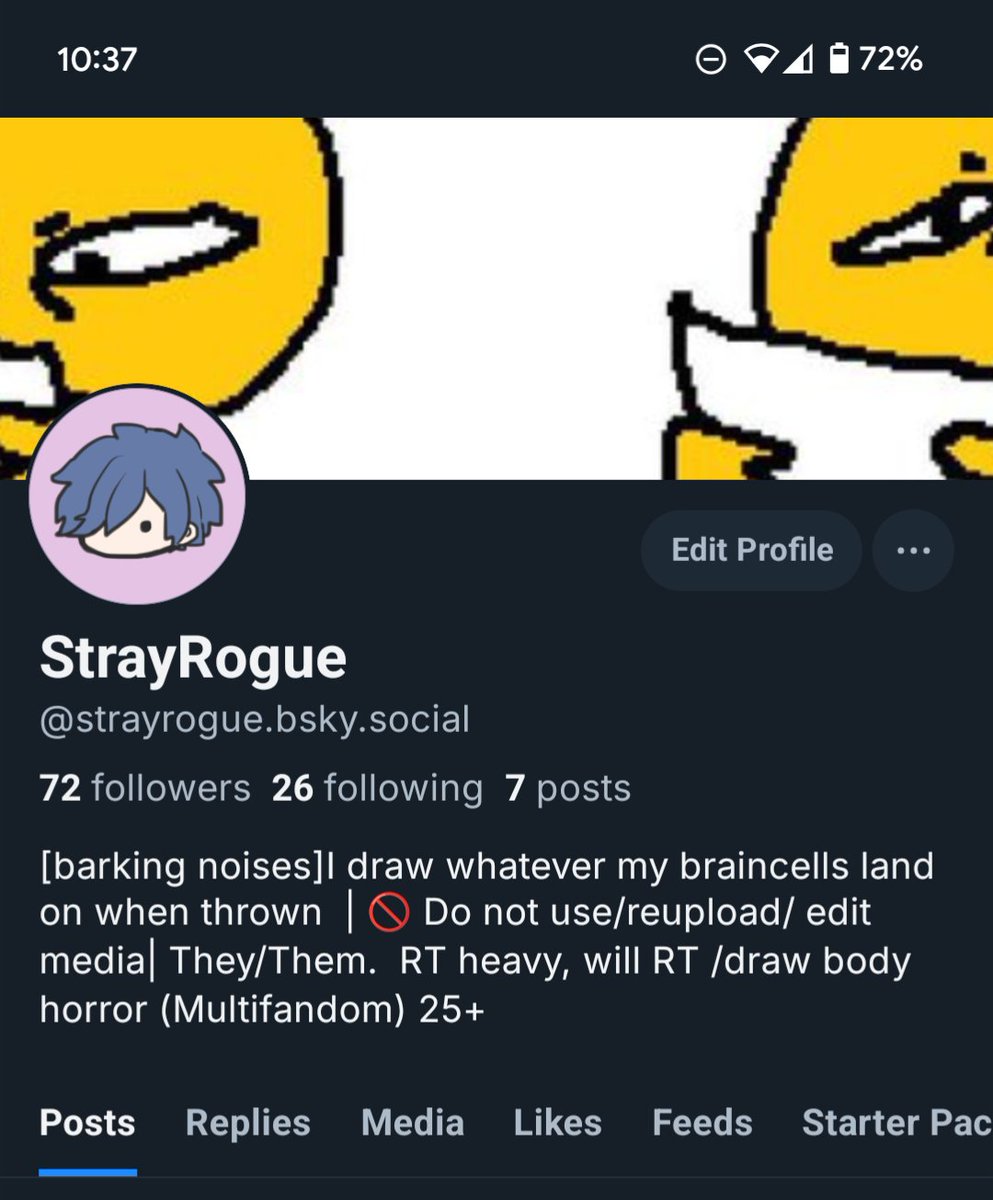 StrayRogue | Dawn trailing! tweet media