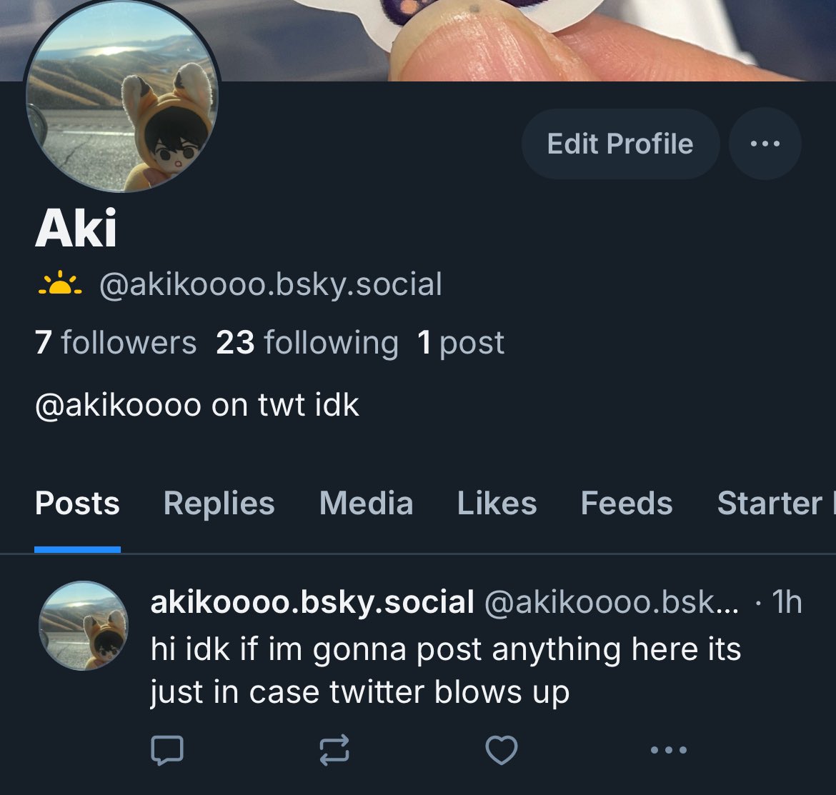 akikoooo's tweet image. my bsky in case smth happens LOL idk