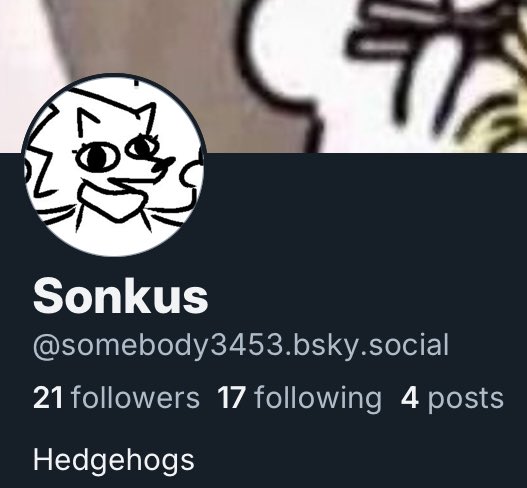 SomebodySonkus tweet media