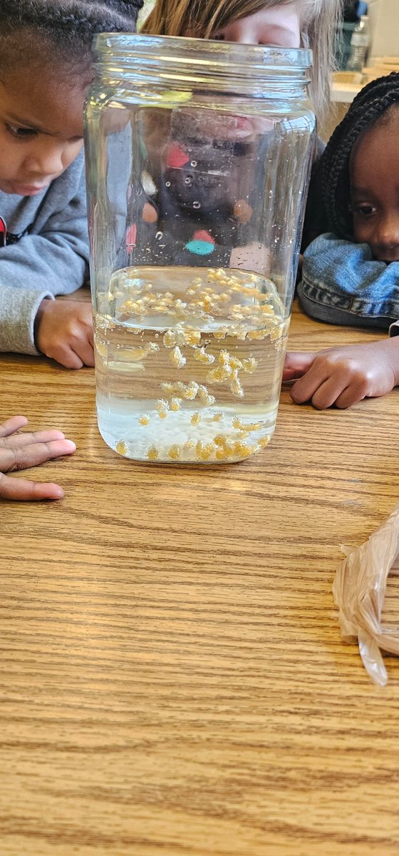 BrumbackHeather's tweet photo. We had so much fun doing a science experiment-Dancing Corn!We measured water,corn,baking soda, and vinegar,then watched in amazement as the kernels danced up and down in the jar.Such a cool way to learn about reactions and have fun at the same time! @JCPSEARL @DawsonOrmanECH https://t.co/0MIUwtkwU9