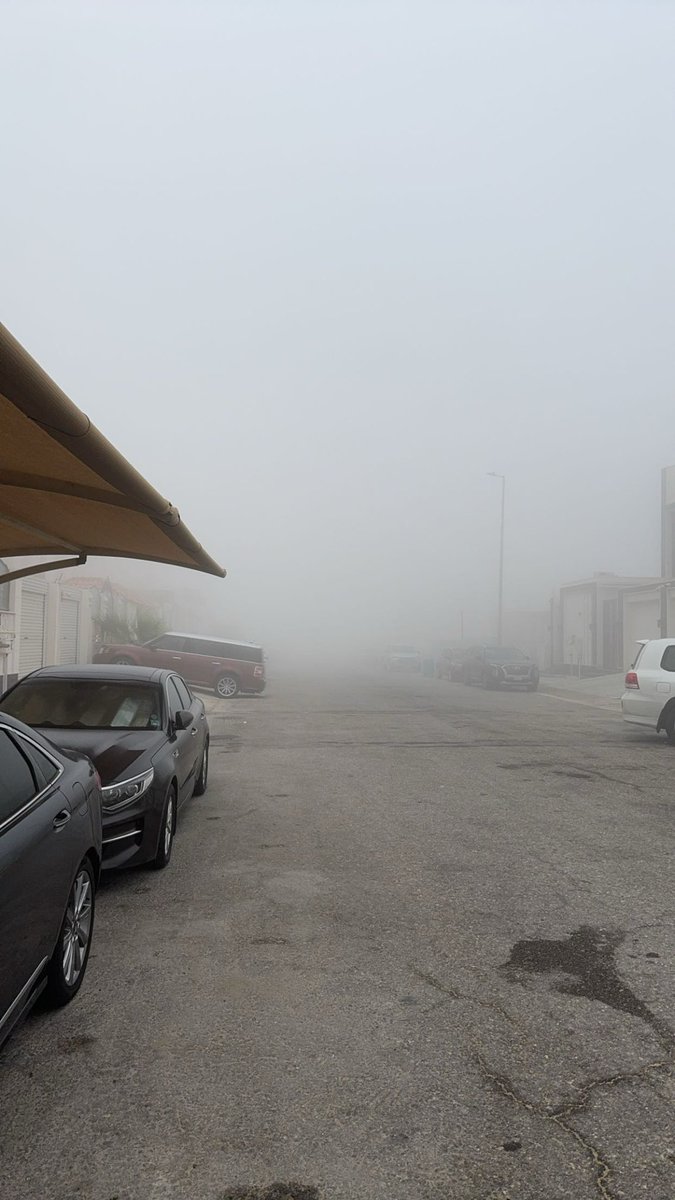 صباح الخير 🌫️