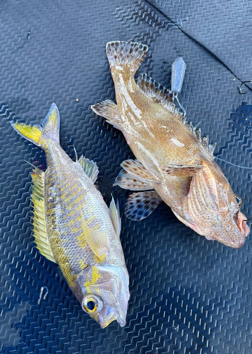 Elizabeth (@elizabeth35dd) on Twitter photo 