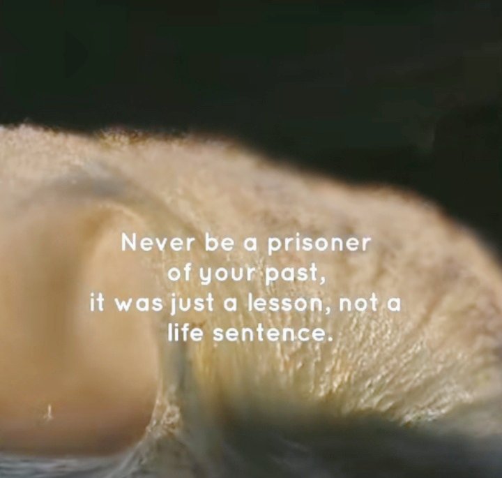 Never be prisoner