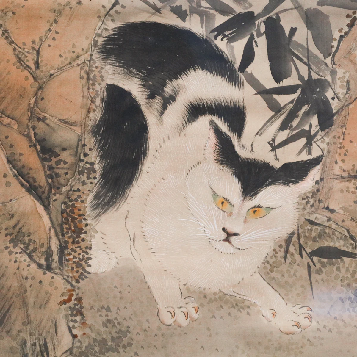 巽の猫 東京国立博物館 広報室 on X: 