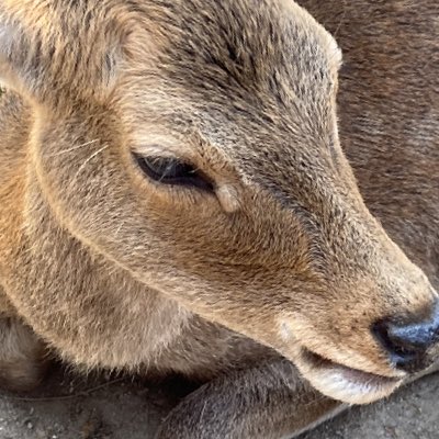 #新しいプロフィール画像