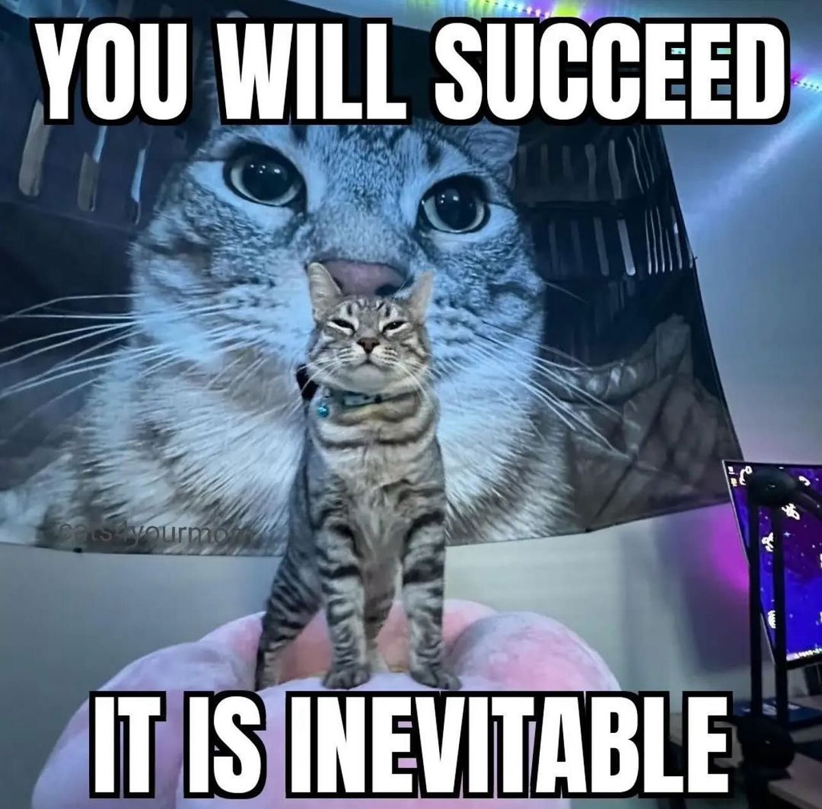 positivityofx's tweet photo. https://t.co/wQjpM95cWB