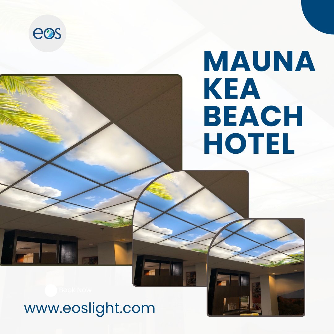 eoslightpanels's tweet image. Utilizing the T-Bar Ceiling system, 18 Basic LightPanels are neatly laid into position backlighting a second surface image sized 12′ x 6′  The panels in 4000k with only 2 edges of LEDs along the perimeter illuminate the eoslight.com/portfolio/maun…

#eoslightpanelsystems #LightPanels