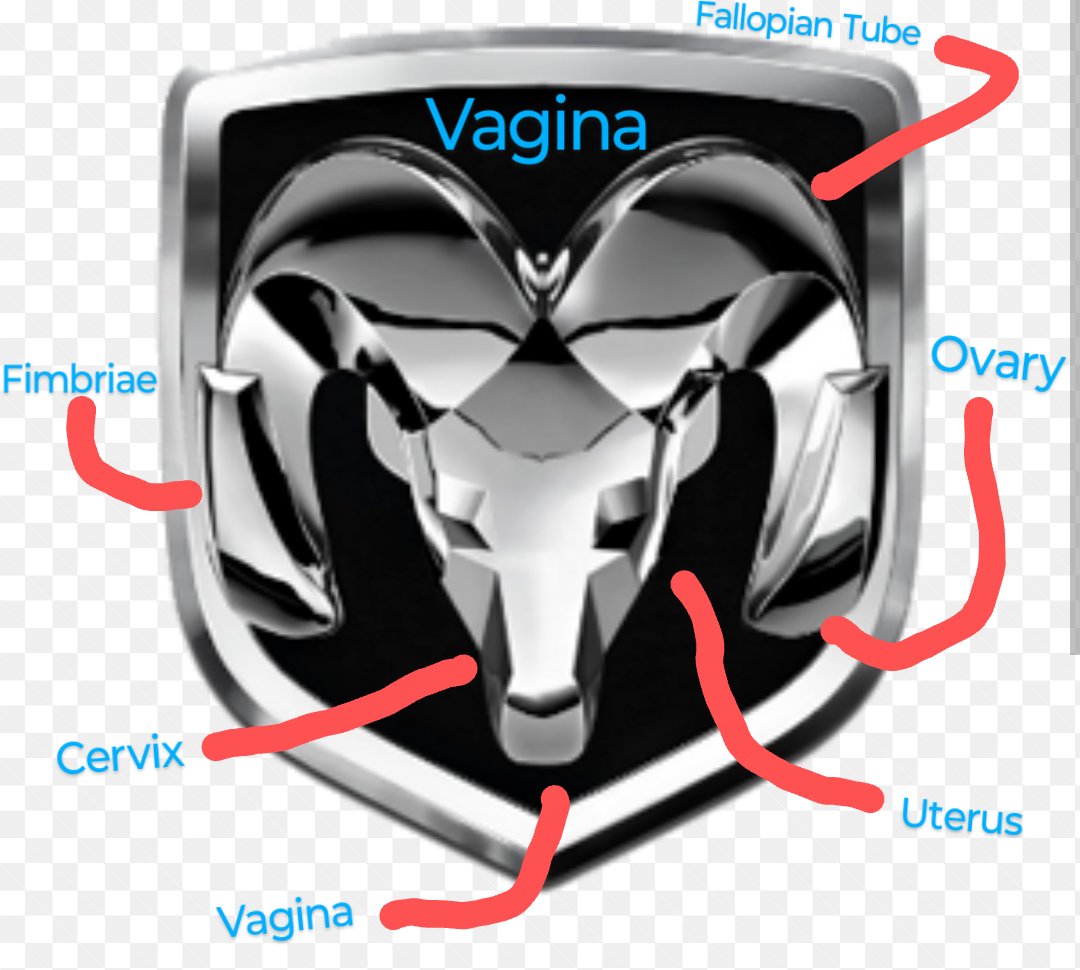 SlavicAmerican's tweet photo. "What is the Dodge logo shaped like? A VAGINA!! You know why?? 'CAUSE ONLY PUSSIES DRIVE THEM!!" - This was said after someone tried to mount a snow plow to the front of a new Dodge Ram 1500 and failed because the new mounts suck. @Dodge, fix your damn mounts! https://t.co/qxEWoRVPqR