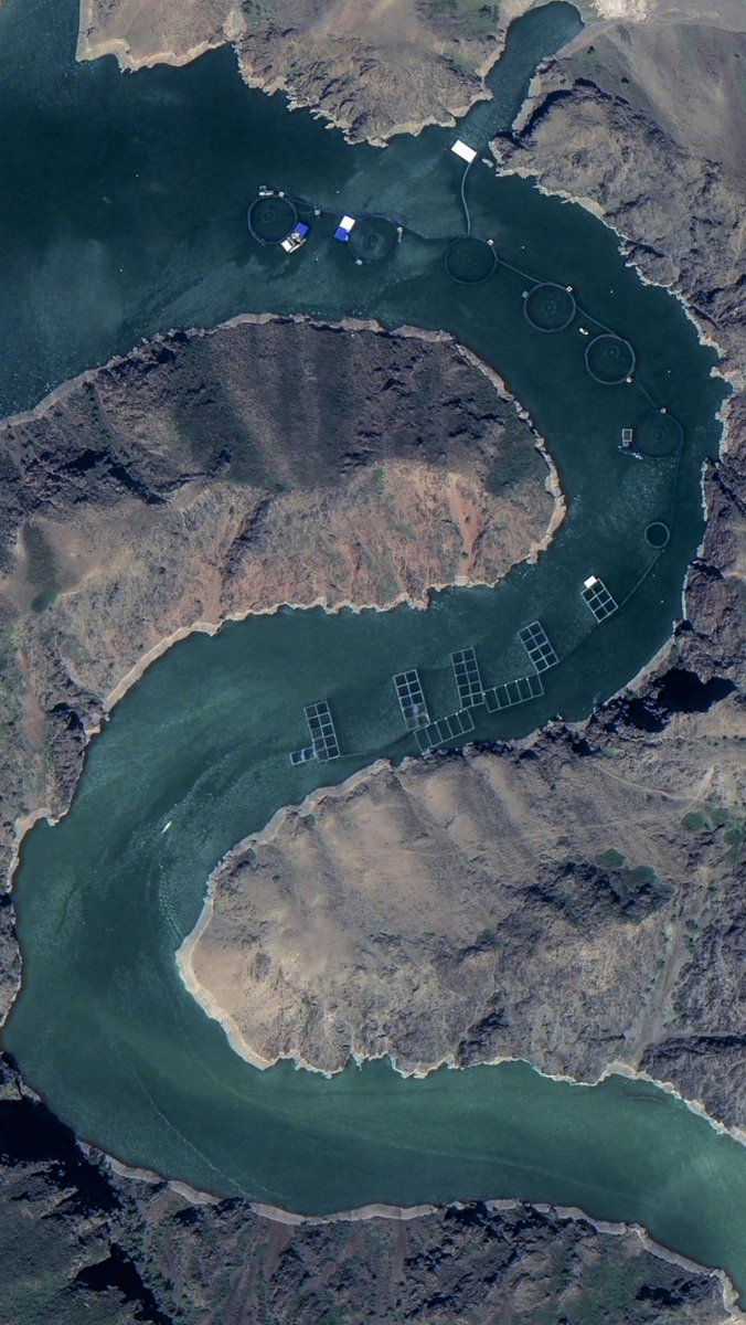 ChinaKaleido's tweet photo. What Western MSM won't tell you is that #Xinjiang is a beautiful place with abundant natural resources. 
Here you can find fruits like Hami melons and Korla fragrant pears. And with the help of technology, the once saline-alkali land has also been transformed into seafood farms. https://t.co/aslOxG1qmn