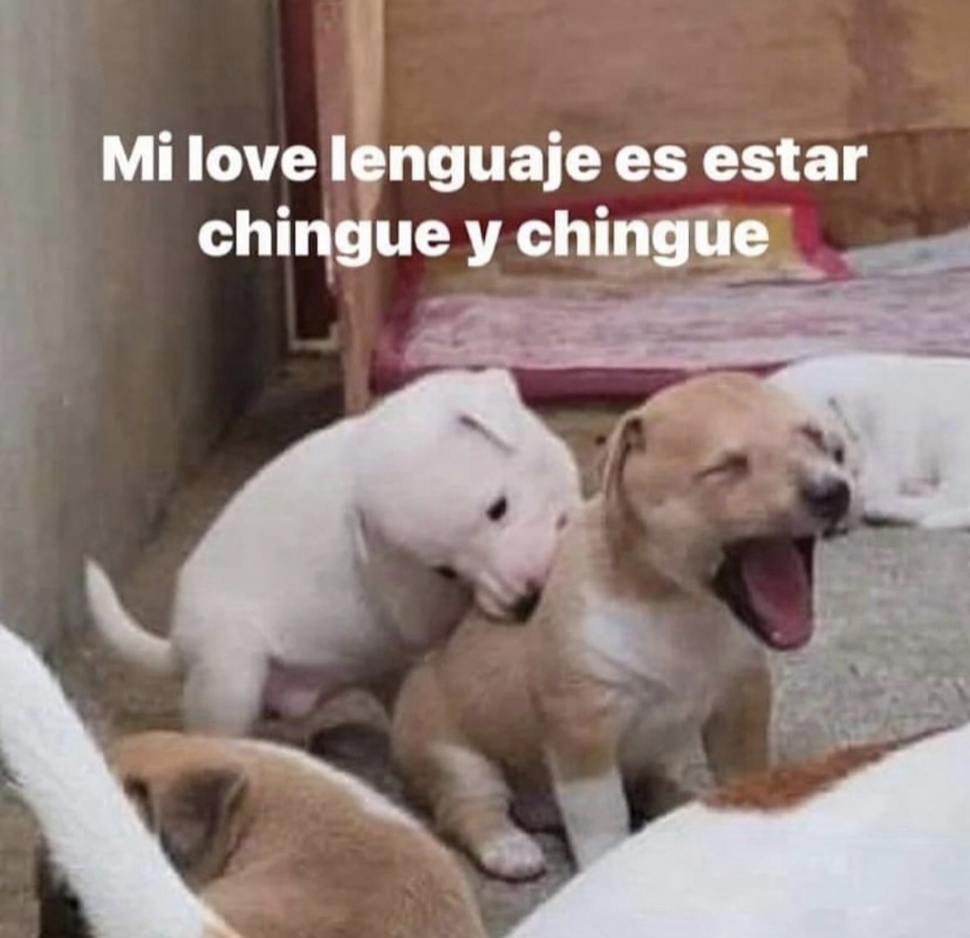En Júpiter (@en_jupiter_) on Twitter photo 