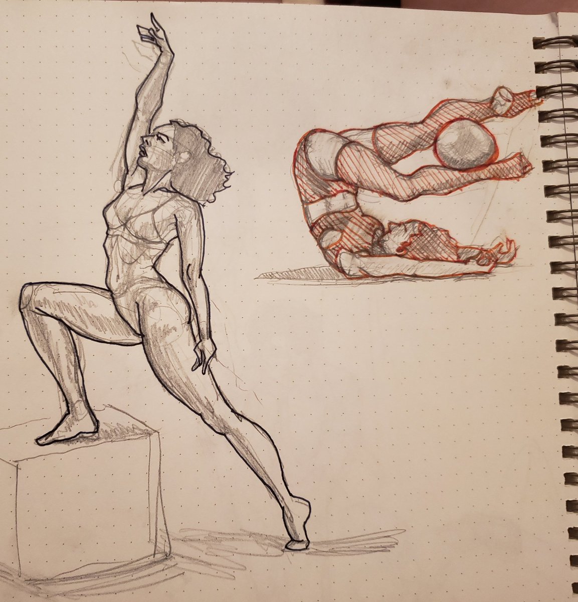 Steph Ahn 🏳️‍🌈 tweet media