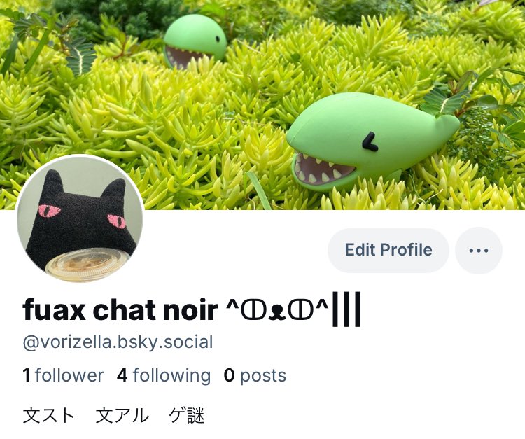 faux chat noir ✧(^ↀᆺↀ^)||| tweet media