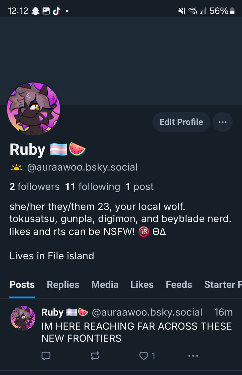 Ruby 🏳️‍⚧️🍉 (@AuraAwoo) / Posts / X