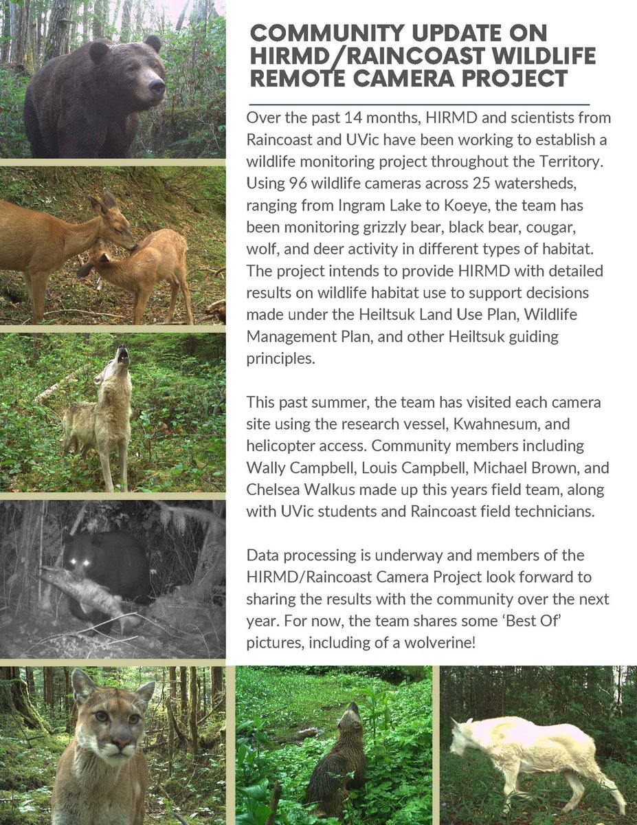 HeiltsukIRMD tweet media