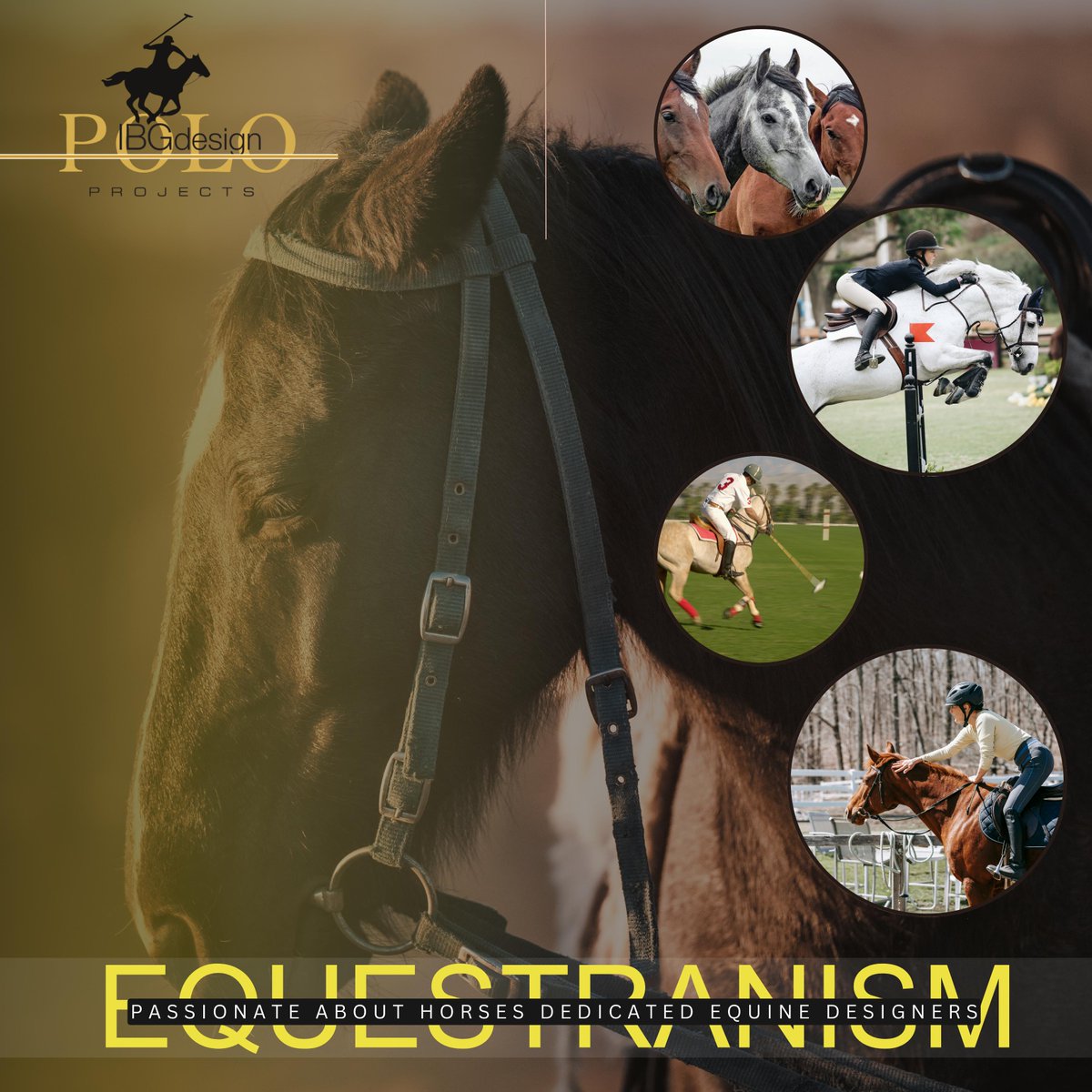 PoloProjects's tweet photo. Our passion for horses runs deep, inspiring every project we undertake at Polo Projects. From the field to the finish line, we create with heart and dedication. 🐎❤️ #PoloProjects #PassionForHorses #EquestrianLife #InspiredByHorses https://t.co/UssWwBSIOl