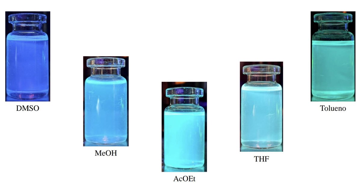 Alex S. Zamora tweet media