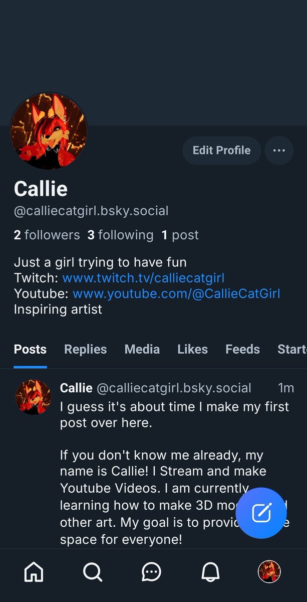 CallieCat Girl tweet media
