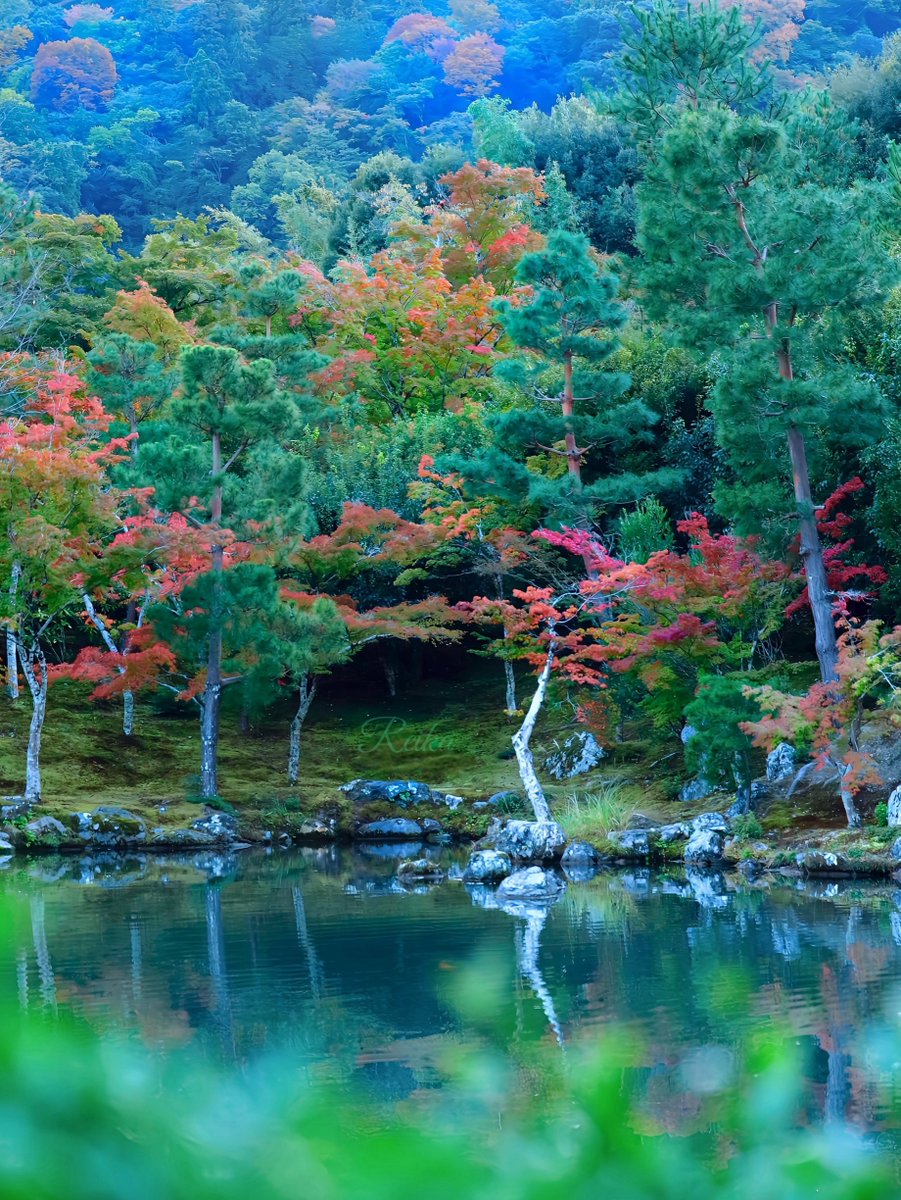 天龍寺・曹源池の秋