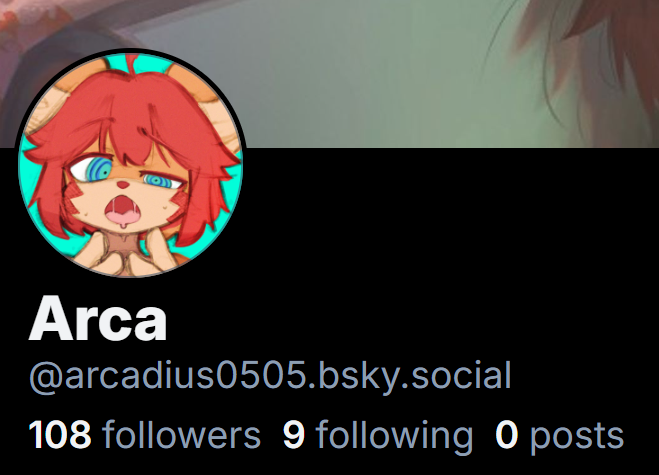 will probably be more active on BlueSky