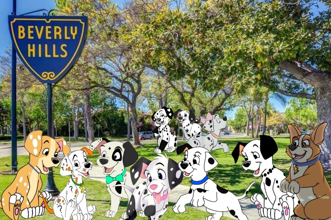 ๐๐พ๐ฆแง๊ซแญ๊ซ๊ชถ Renee ๐๐ถ๐๐๐ถ๐๐พ๐ถ๐ ๐๐พ๐ฆ (@prissypuppy_) on Twitter photo Exploring Beverly Hills, California with my lovely family! Here we have mine and my love's <a href="/CorgiLighting__/">โก๏ธโก๏ธ๐พLฮนส
๐ฟ๐พ๐๐ฝ๐๐พ๐๐๐พ</a>'s pups <a href="/Missy101Dalmati/">๐๐ข๐ฌ๐ฌ๐ฒ ๐๐๐ฅ๐ฆ๐๐ญ๐ข๐๐ง ๐พ๐</a>, <a href="/MistyDalmati101/">Misty ๐ธ๐๐บ๐ Dalmatian</a>, @Jayla101Dalmati, <a href="/XLightingJr101X/">๐พโก ๐ฟ๐พ๐ ๐ฟ๐พ๐๐ฝ๐๐๐พ๐๐ ๐ฅ๐ ๐พโก</a>, <a href="/MovieStarAthena/">๐๐พ๐๐ฝ๐ฑ๐ฎ๐ท๐ช ๐๐ช๐ต๐ถ๐ช๐ฝ๐ฒ๐ช๐ท ๐๐พ</a>, Leslie, <a href="/CasperDalmati/">๐ป๐พ Casper Dalmatian The Friendly GhostPuppy๐ป๐พ</a>, and then our miracle pup <a href="/Mysterypup2024/">โMysteryโ</a>. -- Exploring Beverly Hills, California with my lovely family! Here we have mine and my love's <a href="/CorgiLighting__/">โก๏ธโก๏ธ๐พLฮนส
๐ฟ๐พ๐๐ฝ๐๐พ๐๐๐พ</a>'s pups <a href="/Missy101Dalmati/">๐๐ข๐ฌ๐ฌ๐ฒ ๐๐๐ฅ๐ฆ๐๐ญ๐ข๐๐ง ๐พ๐</a>, <a href="/MistyDalmati101/">Misty ๐ธ๐๐บ๐ Dalmatian</a>, @Jayla101Dalmati, <a href="/XLightingJr101X/">๐พโก ๐ฟ๐พ๐ ๐ฟ๐พ๐๐ฝ๐๐๐พ๐๐ ๐ฅ๐ ๐พโก</a>, <a href="/MovieStarAthena/">๐๐พ๐๐ฝ๐ฑ๐ฎ๐ท๐ช ๐๐ช๐ต๐ถ๐ช๐ฝ๐ฒ๐ช๐ท ๐๐พ</a>, Leslie, <a href="/CasperDalmati/">๐ป๐พ Casper Dalmatian The Friendly GhostPuppy๐ป๐พ</a>, and then our miracle pup <a href="/Mysterypup2024/">โMysteryโ</a>. --