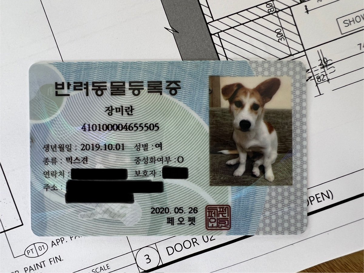 _dorai_'s tweet photo. 병원 갔다가 신분증 달라고 해서 아무 생각없이 꺼내주고 간호사도 나도 머쓱타드 https://t.co/RgIx75wIJY