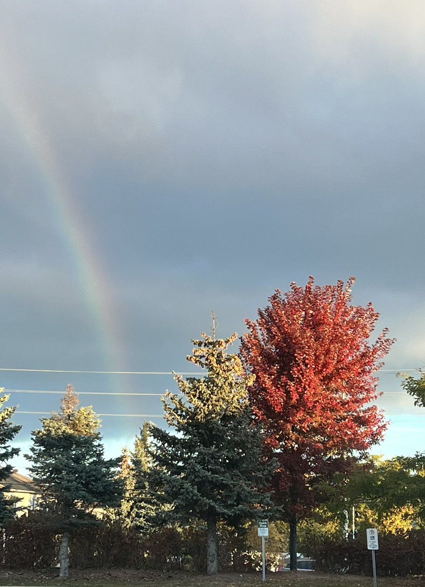 MrsCombden's tweet photo. Good morning 🍁 https://t.co/HG4NFSbkuK