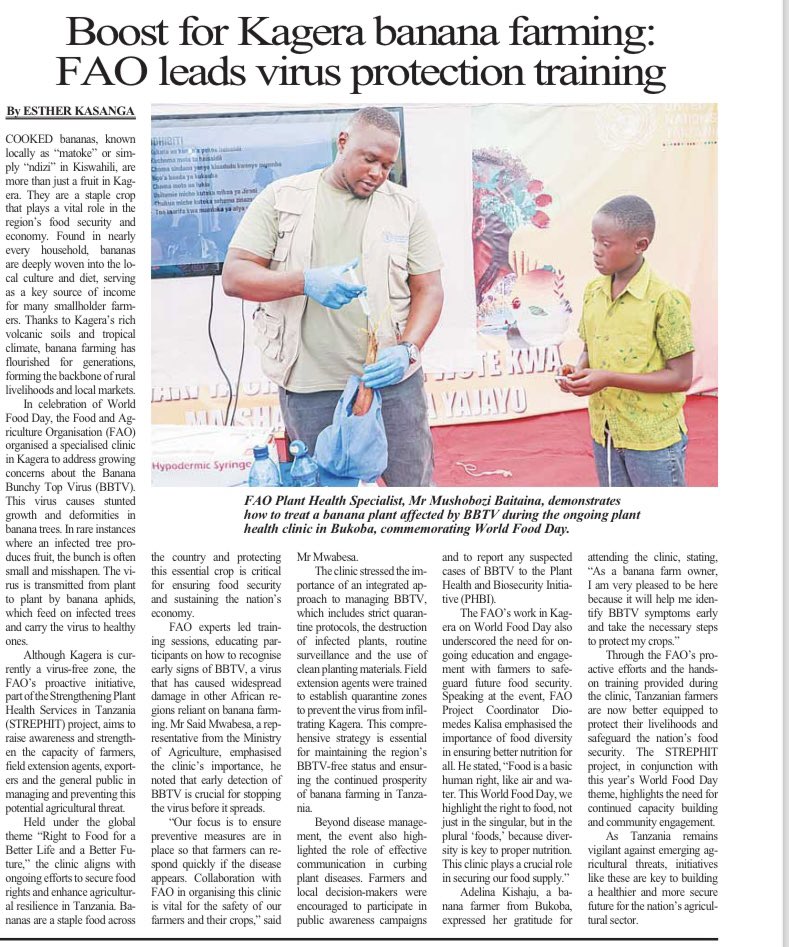 FAOTanzania's tweet photo. Get your copy of the @dailynewstz today, page 8๏ธโฃ, and learn about the initiatives to strengthen plant health services in Tanzania for enhanced food safety. #WorldFoodDay
#STREPHIT๐น๐ฟ๐ช๐บ
@EUinTZ https://t.co/GnZVoYdL3U