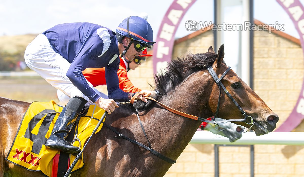 Western Racepix tweet media