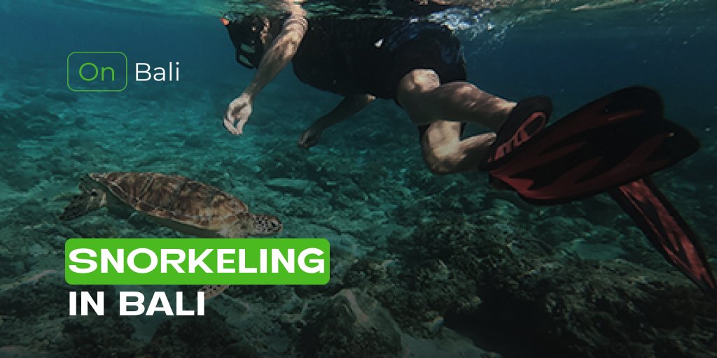 On__Bali's tweet photo. Snorkeling in Bali? Yes, please! 🌊🐠 

Explore Bali’s stunning underwater world with our guide to the best snorkeling spots. 

Dive in! 👉 https://t.co/vgvHo9hY1e

#SnorkelingBali #BaliTravel #UnderwaterAdventure #ExploreBali #BaliMarineLife #TravelTips https://t.co/vWhb4Ik6hH