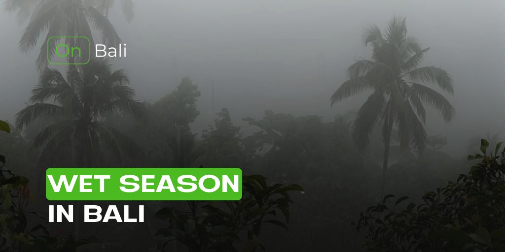 On__Bali's tweet photo. Visiting Bali during the wet season? 🌧️ 

Here’s how to make the most of it! 🌴 https://t.co/Qn4bFCGpXo

#BaliTravel #WetSeason #ExploreBali https://t.co/eMc8kQxnu6