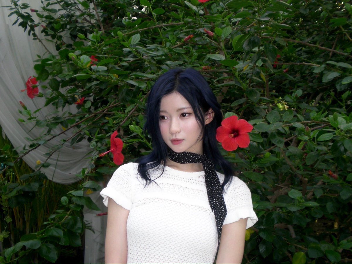 picbaemon's tweet photo. ASA WEVERSE UPDATE https://t.co/ulhYxzp0dO