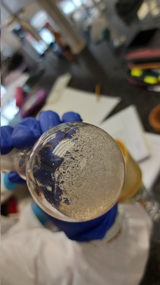 Lluïsa Pérez-García (@llusaprezgarca1) on Twitter photo And we synthesized pure paracetamol! Enjoying lab teaching with great students <a href="/Farmacia_UB/">Facultat de Farmàcia i Ciències de l'Alimentació</a> <a href="/UniBarcelona/">Universitat de Barcelona</a> And we synthesized pure paracetamol! Enjoying lab teaching with great students <a href="/Farmacia_UB/">Facultat de Farmàcia i Ciències de l'Alimentació</a> <a href="/UniBarcelona/">Universitat de Barcelona</a>