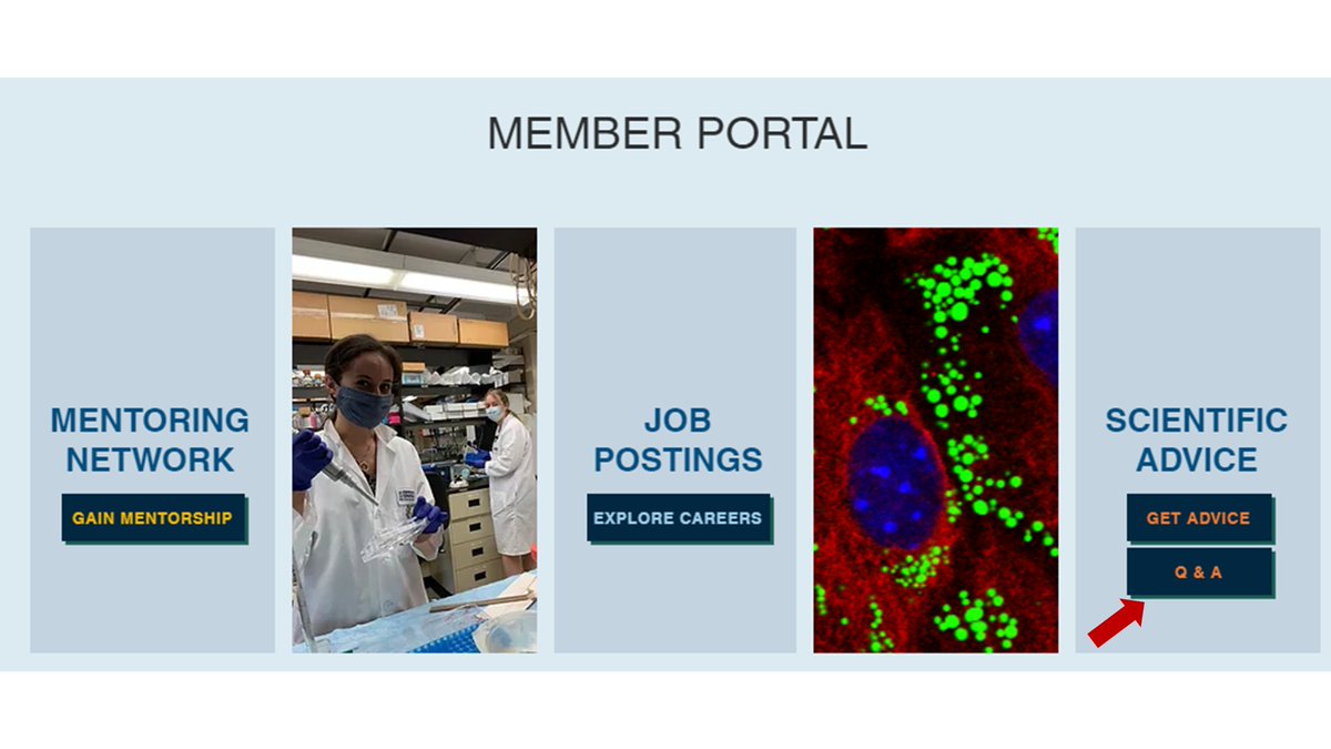 WAutophagy's tweet photo. Do you want to know how to measure #autophagy?? Do you have any difficult with your protocols??? #ASK our scientific advice committee...use our #Q&amp;A bottom ⬇️⬇️ or here: https://t.co/Tmhetuj13g https://t.co/KS524beuyh