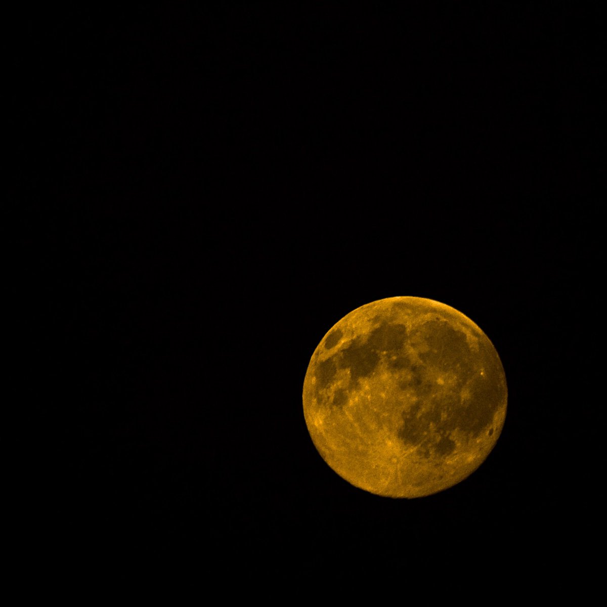 Gssti_Gaec's tweet photo. Are you ready to witness the Supermoon tonight? 🌕 Join us from 6 PM and don't forget to capture the moment! 📸 Tag us in your photos, and let’s see the Supermoon from different views across the sky. Happy stargazing!
#fullmoon #stem #photography #astronomy https://t.co/D1txq1k2JT