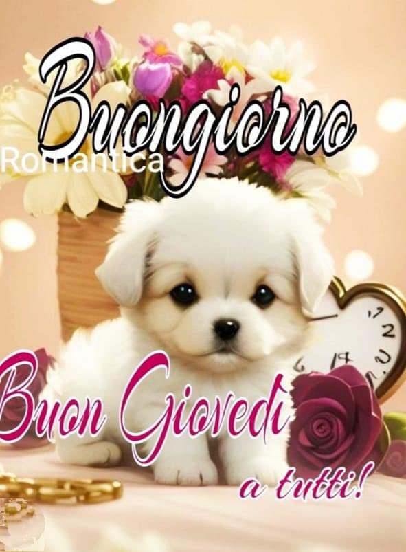 RITABIANCHi56 tweet media