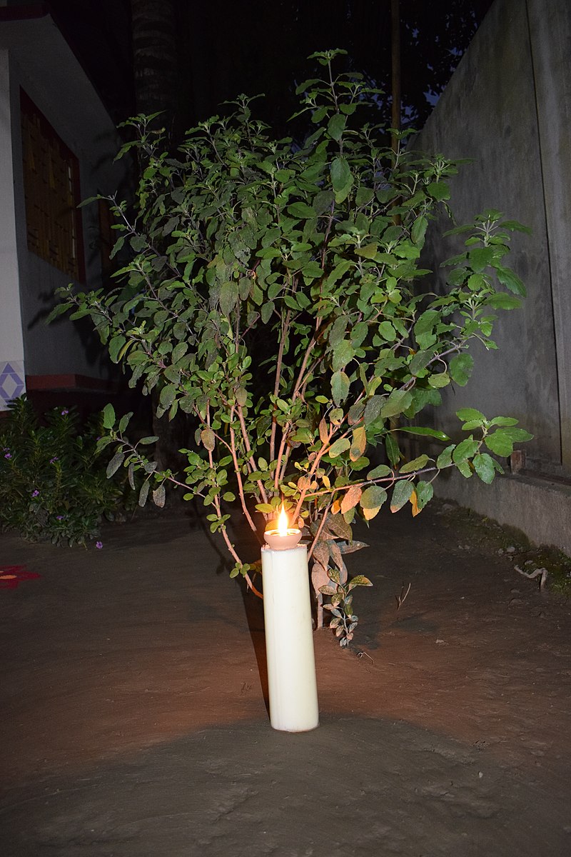 Moonlahon12's tweet photo. সকলোকে কাতি বিহুৰ শুভেচ্ছা জনাইছোঁ
#happykatibihu https://t.co/UC8096YFv9