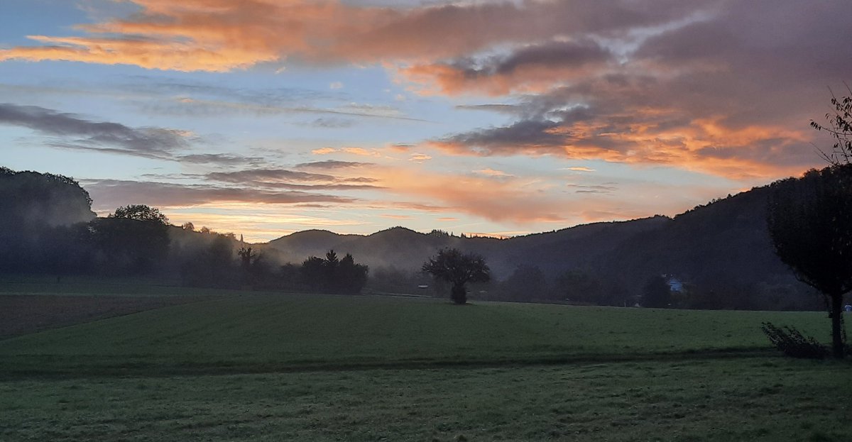 RensingStefan's tweet image. Good morning @UniFreiburg