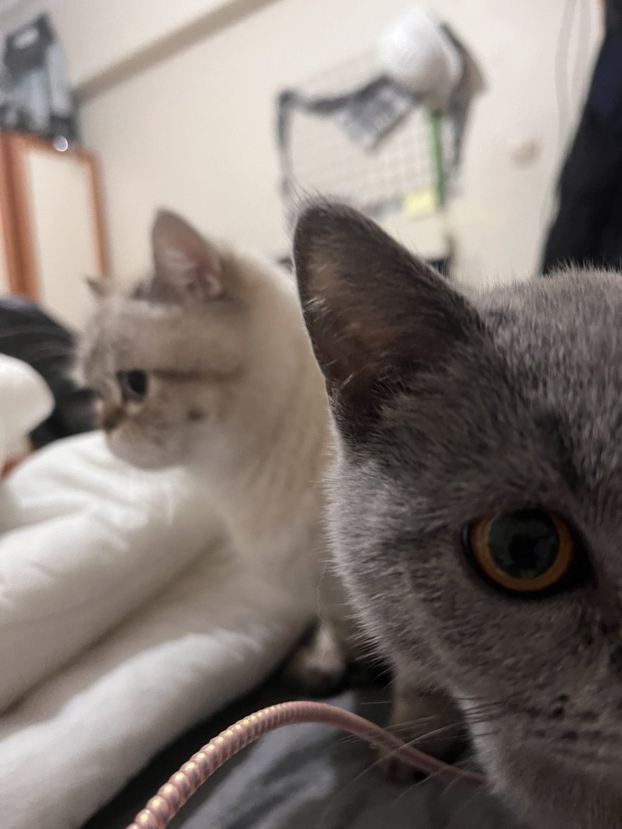 what dedin gülüm? <a href="/karabocekaykiz/">luna bi de böcek maya</a>