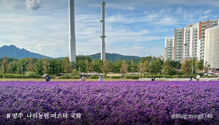 ggholic's tweet photo. #원어스 #ONEUS #Skydivin
#서호 #이도 #건희 #환웅 #시온

“내 미래는 꽃밭”

φ(゜▽゜*)♪ 오늘의 추천곡은?
🎵원어스-Skydivin’

╭ ◜◝ ͡ ◜◝ ͡ ◜◝ ͡ ◜◝ ͡ ◜ ͡ ◝ ╮
♡ 경기도 가을 꽃 농협은행 ♡
╰ ◟◞ ͜ ◟ ͜ ◟◞ ͜ ◟ ͜ ◟ ͜ ◞◟◞ ��

펼쳐진 꽃밭으로 여러분을 초대할게요🌼 https://t.co/eQO807r7kA