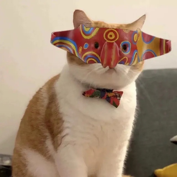 SolutionZhao's tweet image. Just test