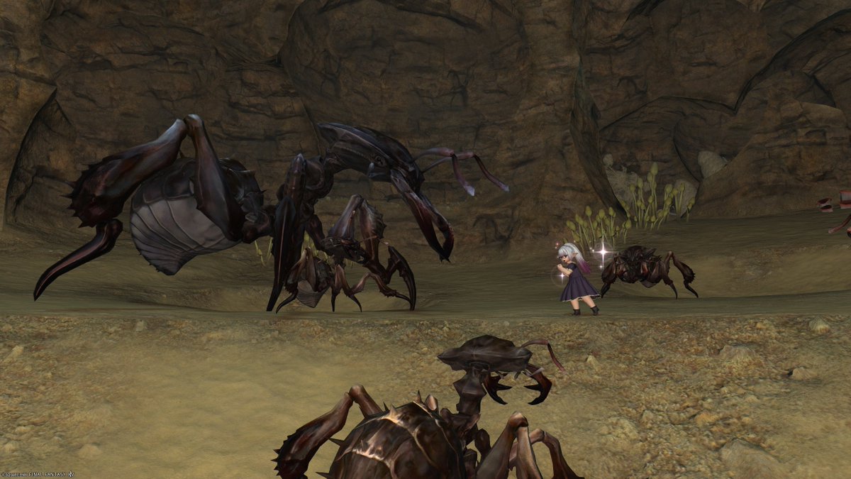 KylaArisen's tweet photo. Today I visited Cutter's Cry!
I came to forage for mushrooms which grow in abundance here, but in the end I made friends with some large insects!
As an amateur entomologist I was grateful, they even showed me the coolest spot in their nest to chill out!
#Lalafell #FF14 https://t.co/0fB0sMFQR0