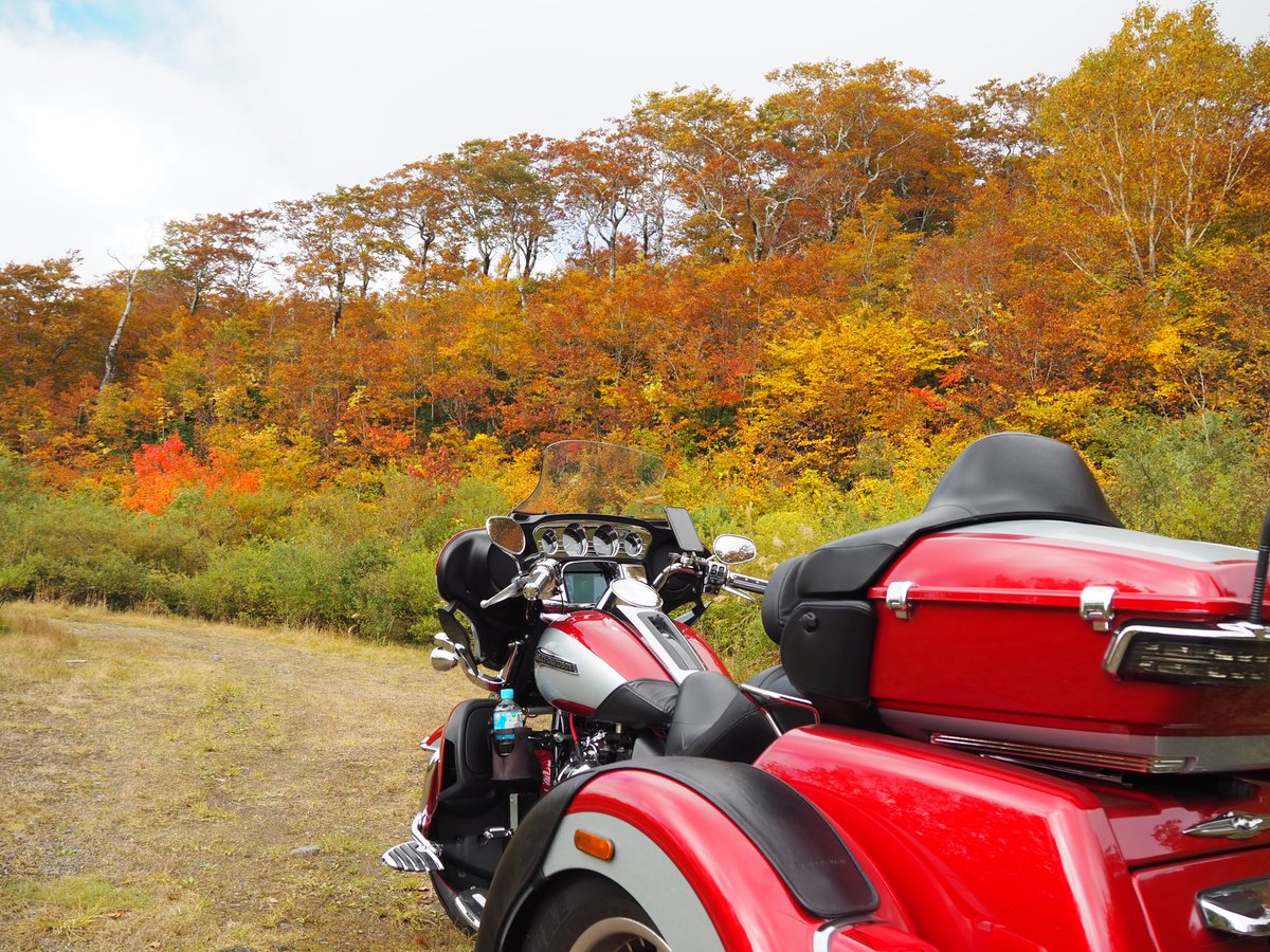 NH16401759's tweet photo. 西吾妻スカイバレー、今が紅葉🍁の見頃
���気も良く最高のツーリング日和
このまま降りて福島までドライブ❗️ https://t.co/V8fy1TFsnJ