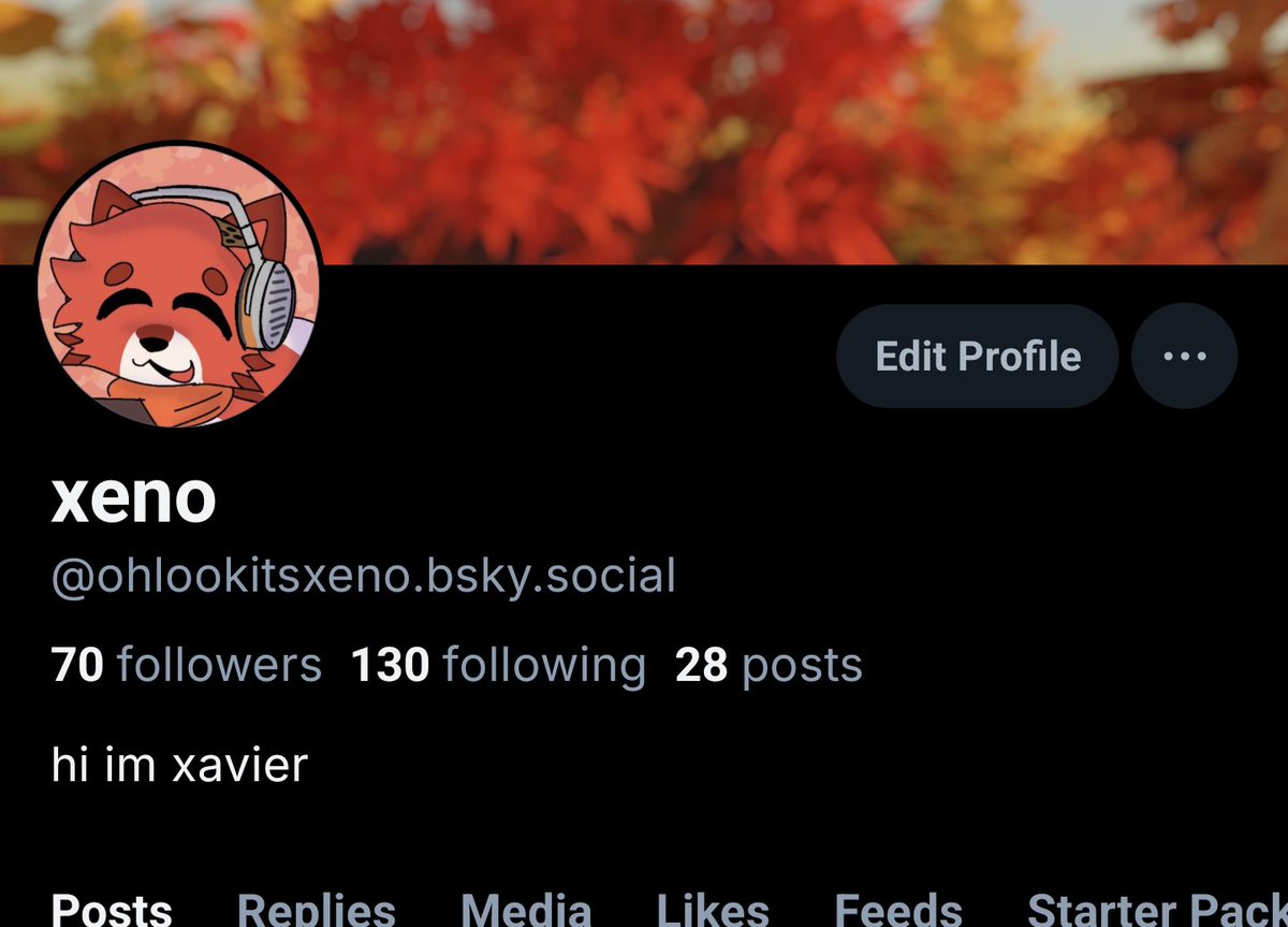 following the trend here's the other place you can find me 🐈