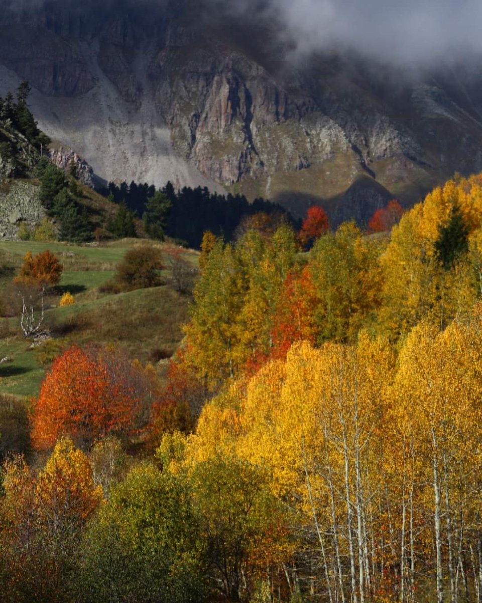 Artvin Şavşat'tan muhteşem bir sonbahar görseli. Çekim İhsan Koca.