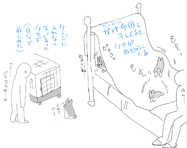 ウサギと私の絵日記です 