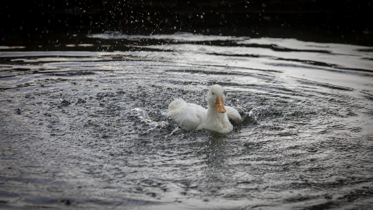 I've been thinking of energy, something we all need. Social media seems to suck our energy dry. The lie of social media, "Look how blessed we are compared to you." And its then that we need it replenished.  photocoachcourse.com  Then we can come roaring back to a new start.