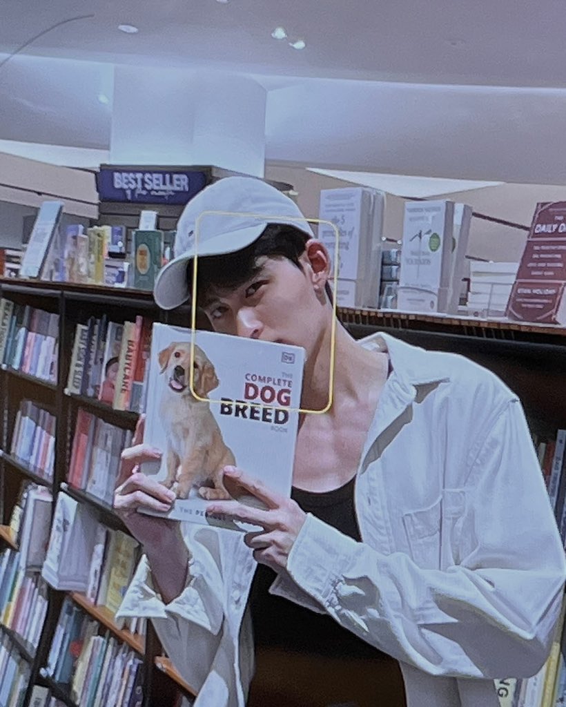 𝖣 tweet media