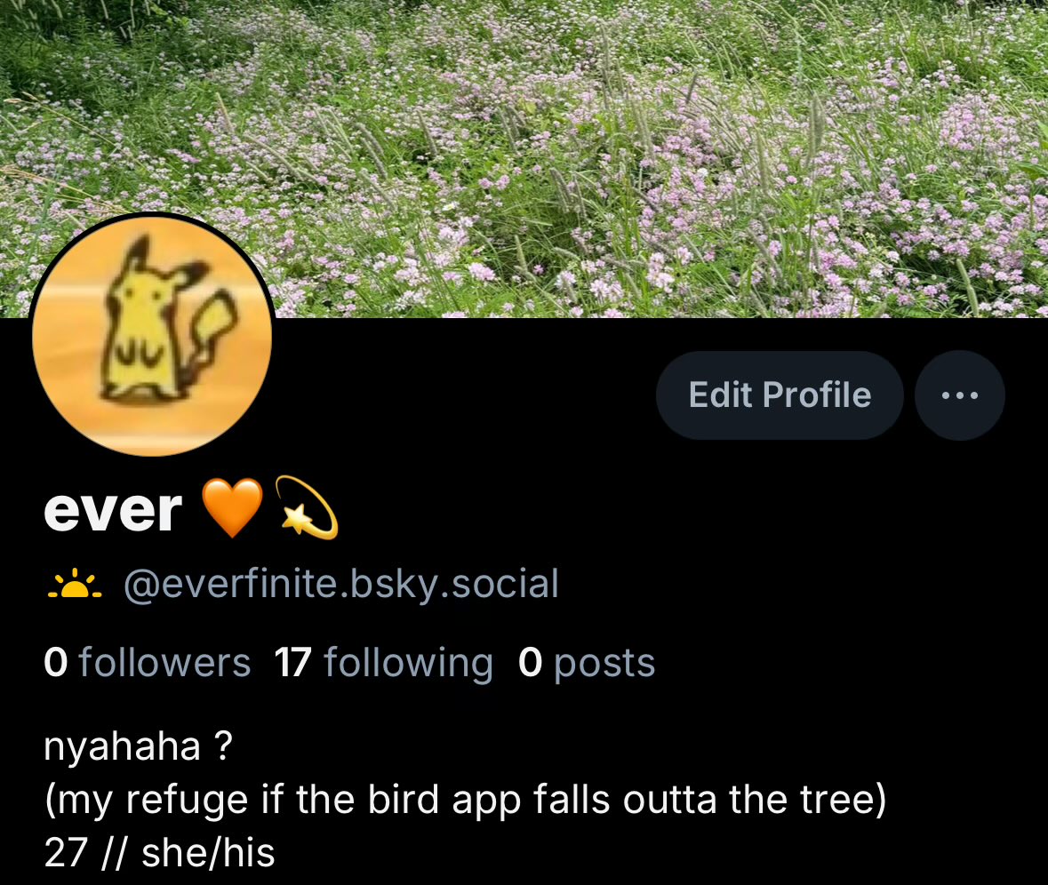 everfinite's tweet image. in case i need to sail off for clearer skies 🫡